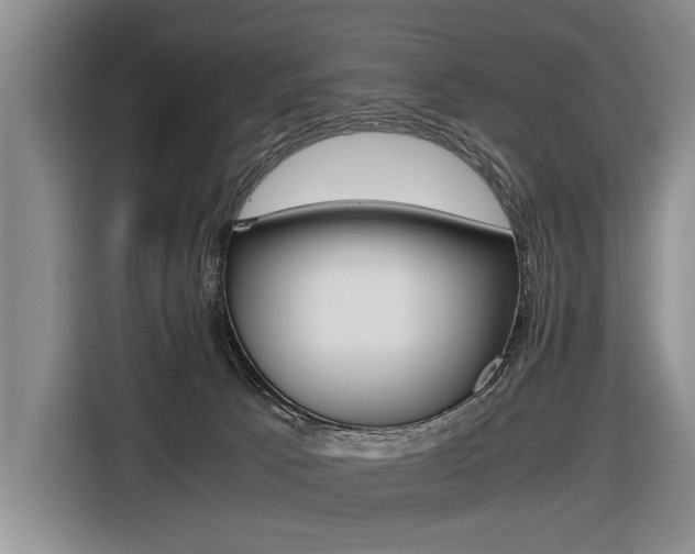 X0000116440033200912081402