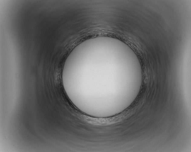 X0000116440034200912081402