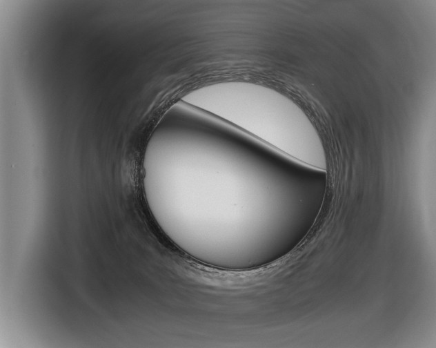 X0000116440035200912081402
