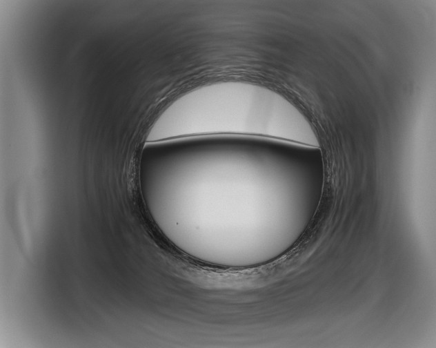 X0000116440036200912081402