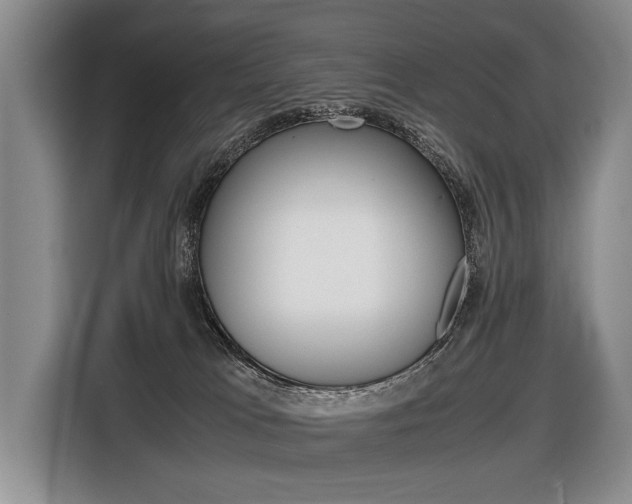 X0000116440037200912081402