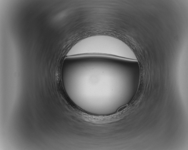 X0000116440039200912081402