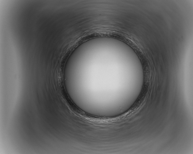 X0000116440040200912081402