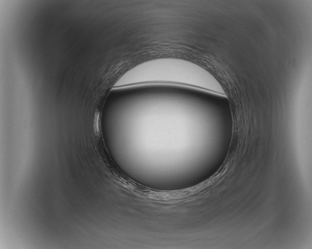 X0000116440041200912081402