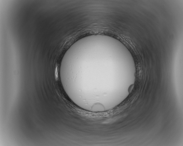 X0000116440042200912081402