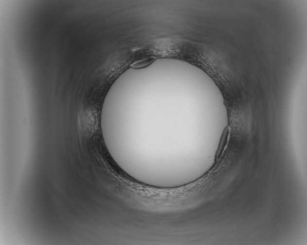 X0000116440043200912081402