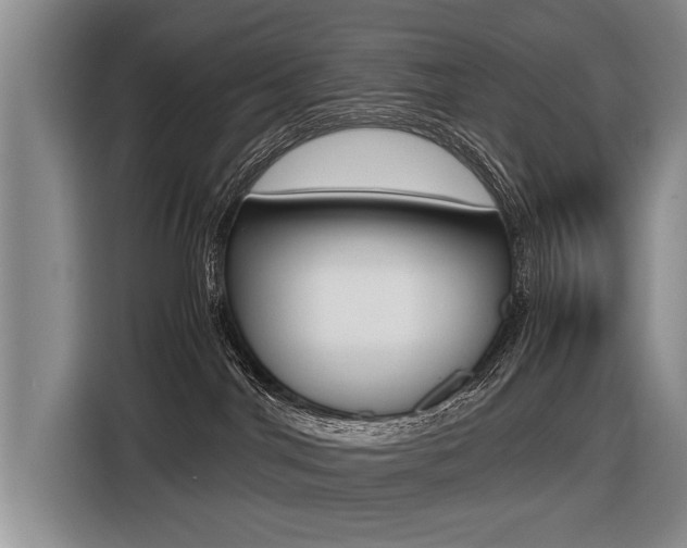 X0000116440044200912081402