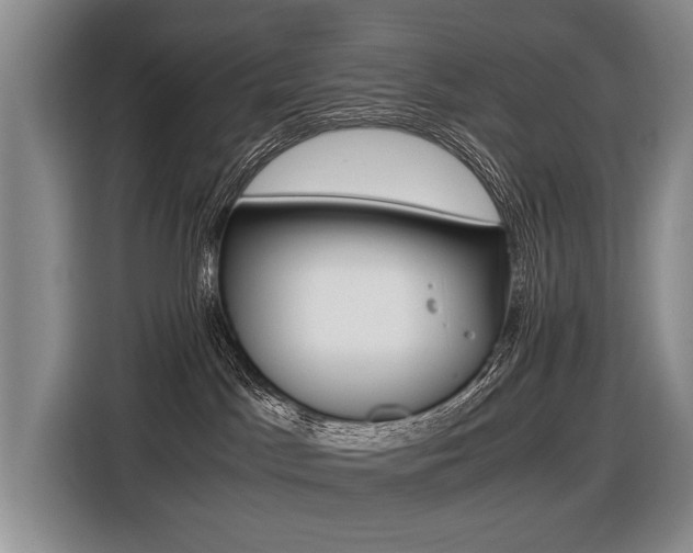 X0000116440045200912081401