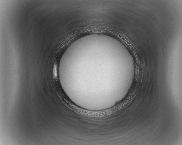 X0000116440046200912081401