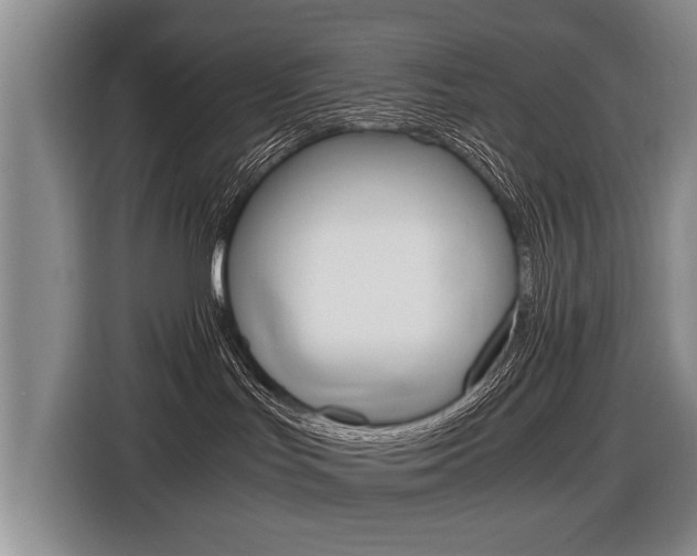 X0000116440047200912081401