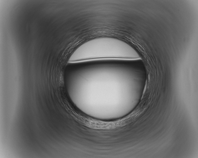 X0000116440048200912081401