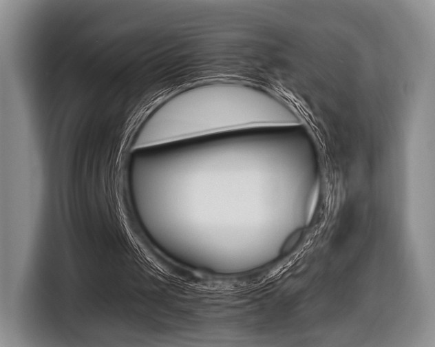 X0000116440049200912081401