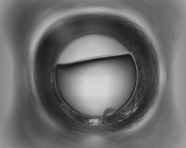 X0000116440050200912081401