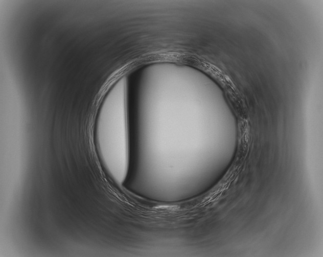 X0000116440051200912081401