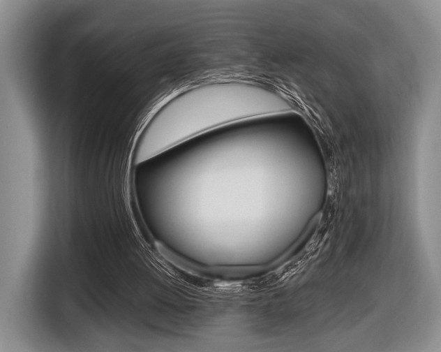 X0000116440052200912081401