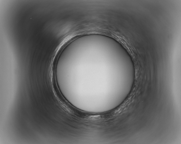 X0000116440054200912081401
