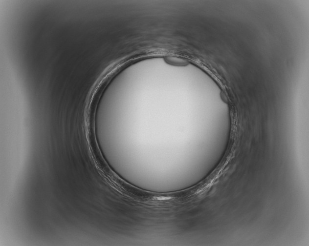 X0000116440055200912081401