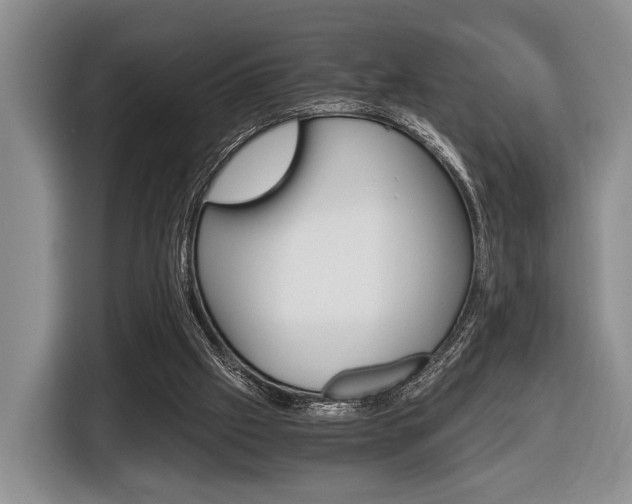 X0000116440057200912081401