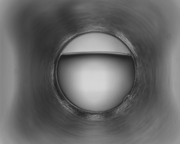 X0000116440058200912081401