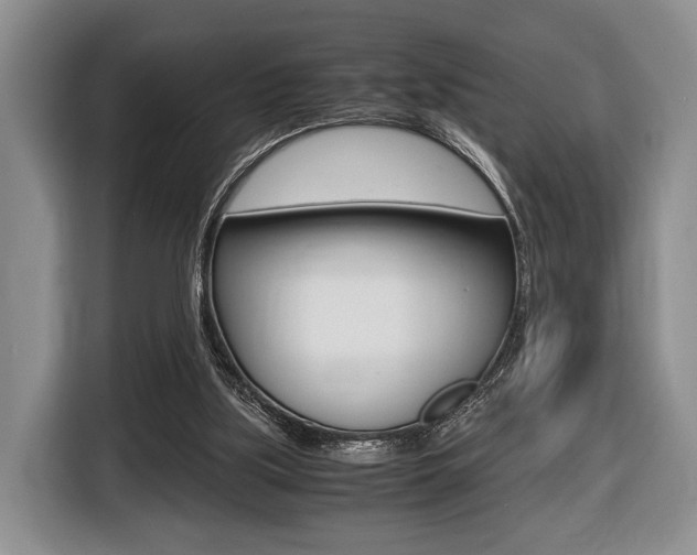 X0000116440059200912081401