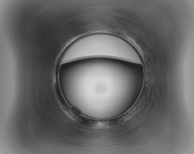 X0000116440060200912081401