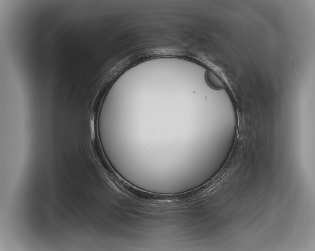 X0000116440061200912081401
