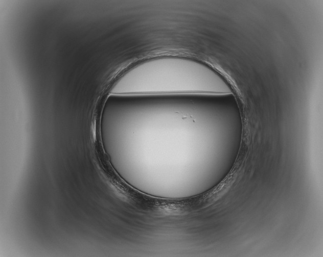 X0000116440062200912081401