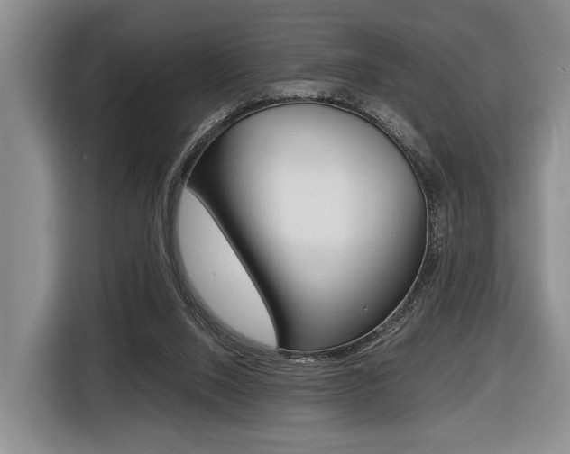 X0000116440064200912081401