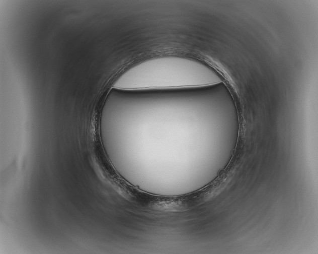 X0000116440065200912081401