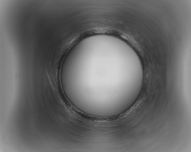 X0000116440066200912081401