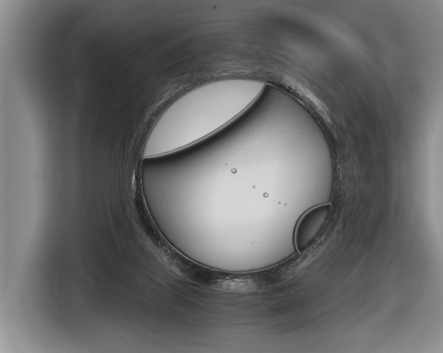 X0000116440067200912081401