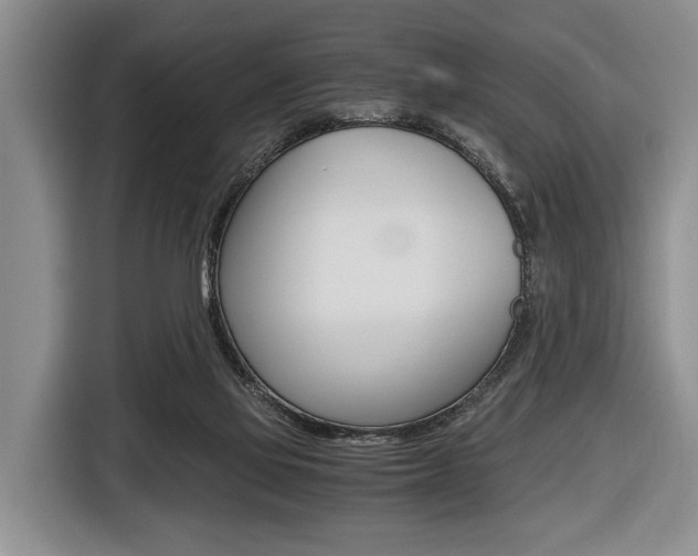 X0000116440069200912081401
