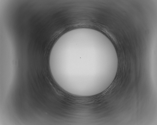 X0000116440070200912081401