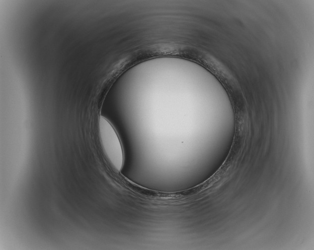 X0000116440072200912081401
