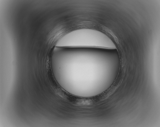 X0000116440073200912081401
