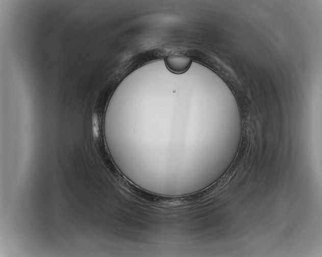 X0000116440075200912081401