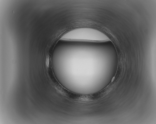 X0000116440076200912081401