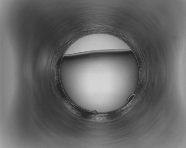 X0000116440078200912081401