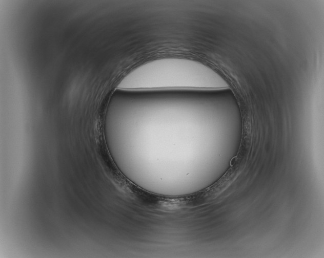 X0000116440079200912081401