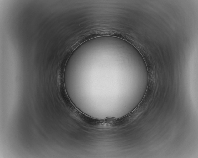 X0000116440080200912081401