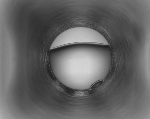 X0000116440083200912081401