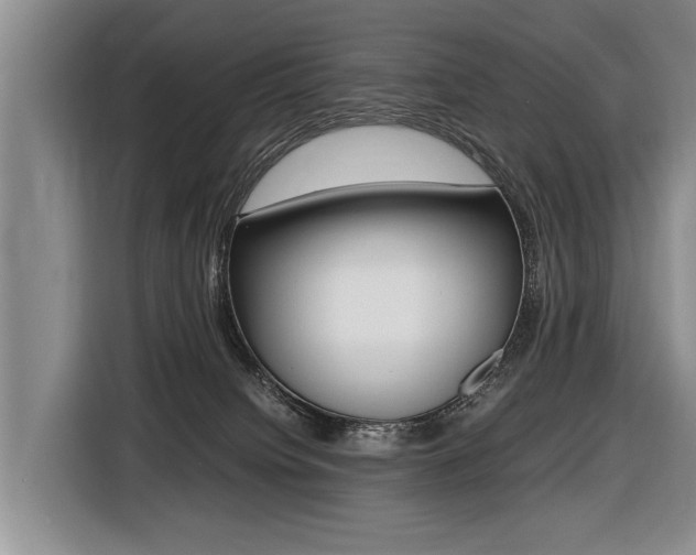 X0000116440084200912081401
