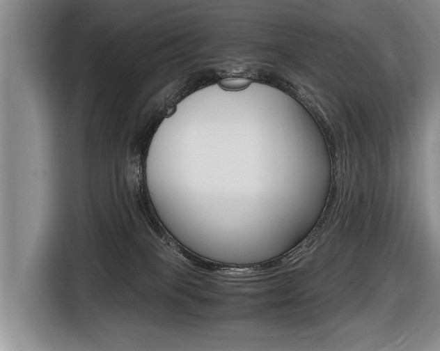X0000116440085200912081401