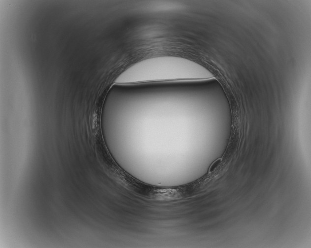X0000116440087200912081401