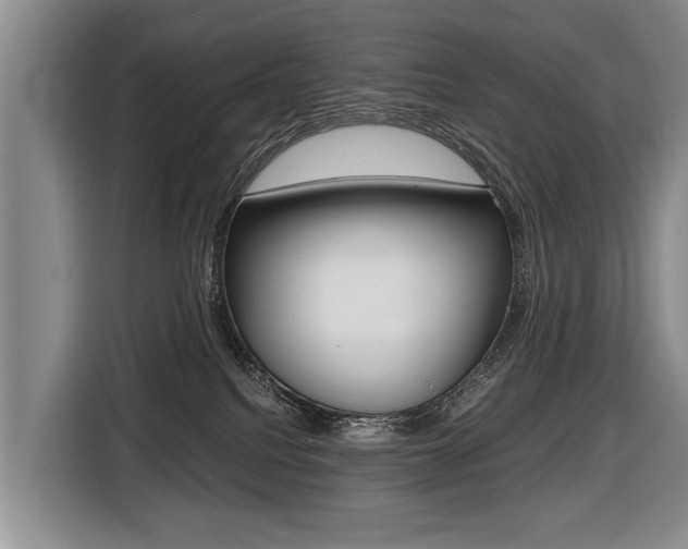 X0000116440088200912081401