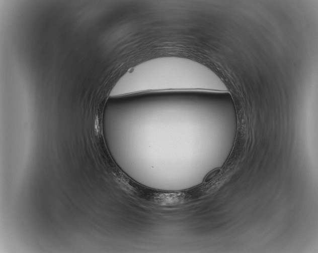 X0000116440089200912081401