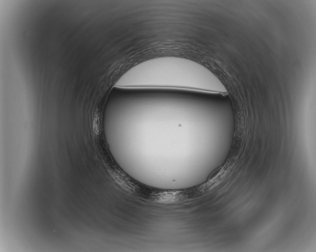 X0000116440090200912081401