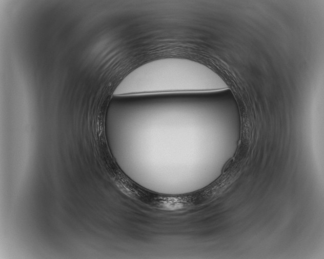 X0000116440091200912081401