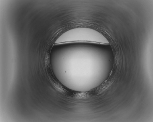 X0000116440092200912081401