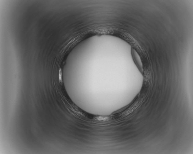 X0000116440095200912081401